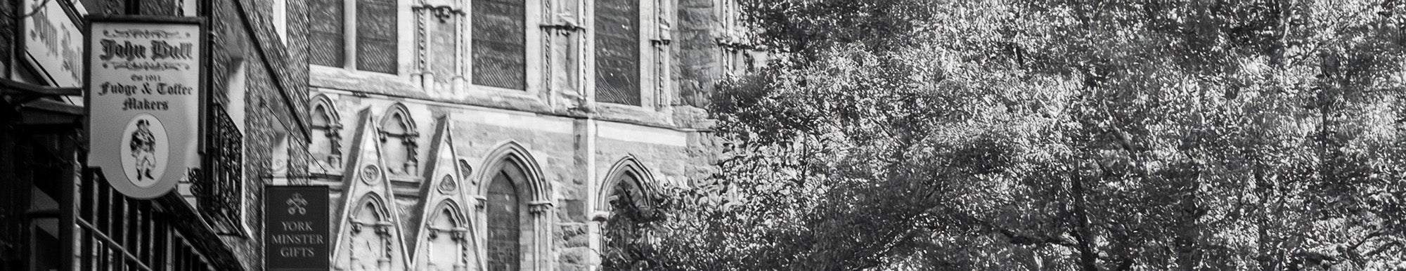 Carl Scarpa Returns to Winchester