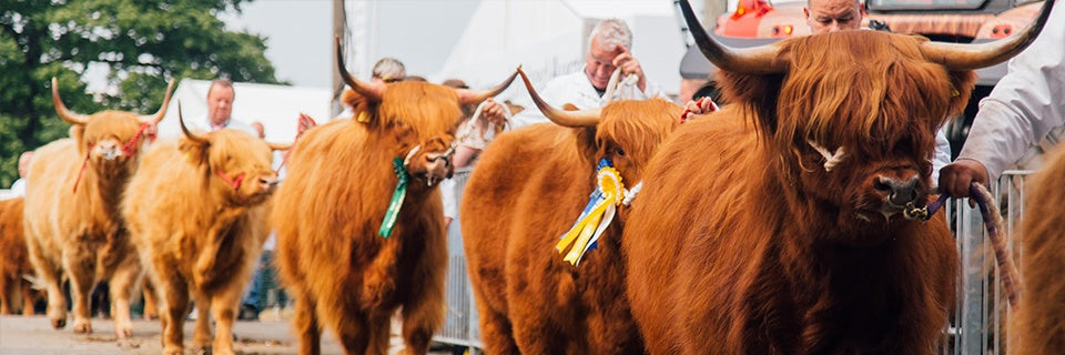 The Royal Highland Show