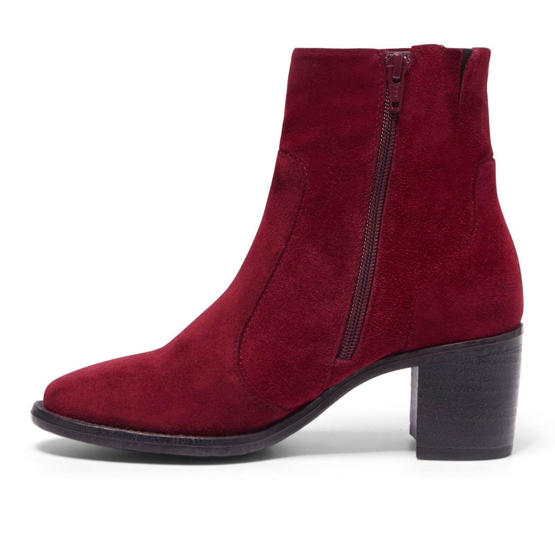 Disagio Bordo Suede Ankle Boots