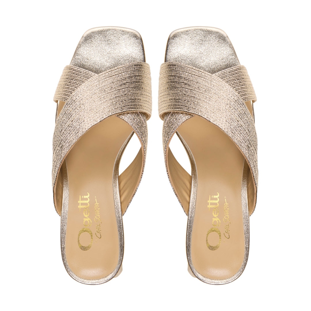 Lioness Gold Occasion